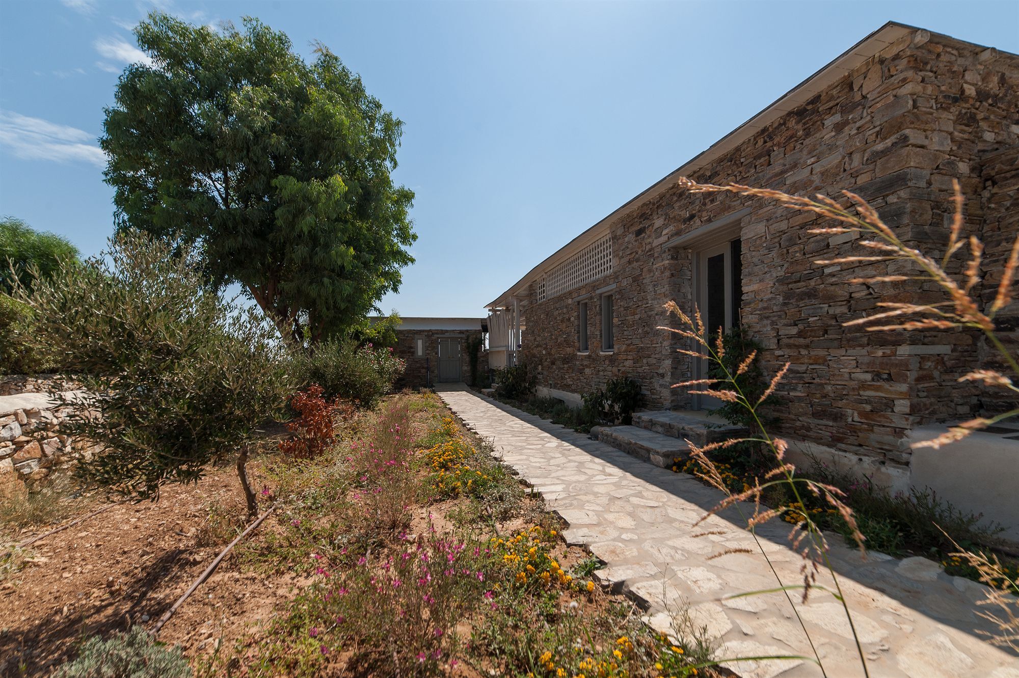 Soros Beach Antiparos Agios Georgios  Экстерьер фото